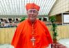 cardinal:-danish-bill-requiring-translation-of-homilies-threatens-religious-freedom