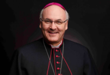 catholic-bishop:-‘synodal-way’-procedures-give-impression-of-‘authoritarian-despotism’
