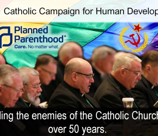 another-catholic-funded-organization-is-planned-parenthood-partner