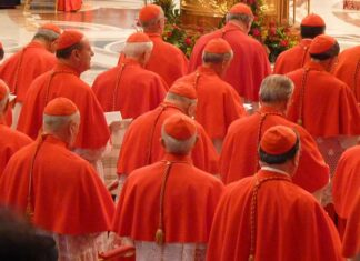 pope-francis-trims-cardinals’-salaries-by-10%-to-save-money