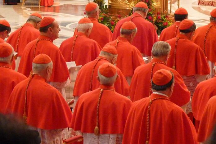 pope-francis-trims-cardinals’-salaries-by-10%-to-save-money