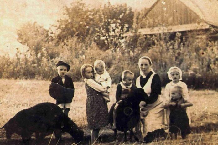 polish-catholic-family,-killed-by-nazis-for-helping-jews,-on-path-to-beatification