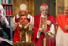 cardinals-rebut-st.-peter’s-‘private’-mass-ban