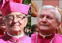 vatican-sanctions-two-polish-bishops-after-‘vos-estis’-investigations
