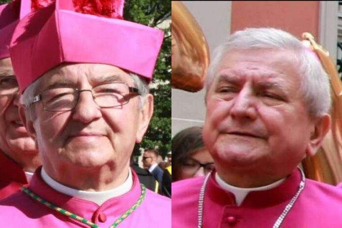 vatican-sanctions-two-polish-bishops-after-‘vos-estis’-investigations