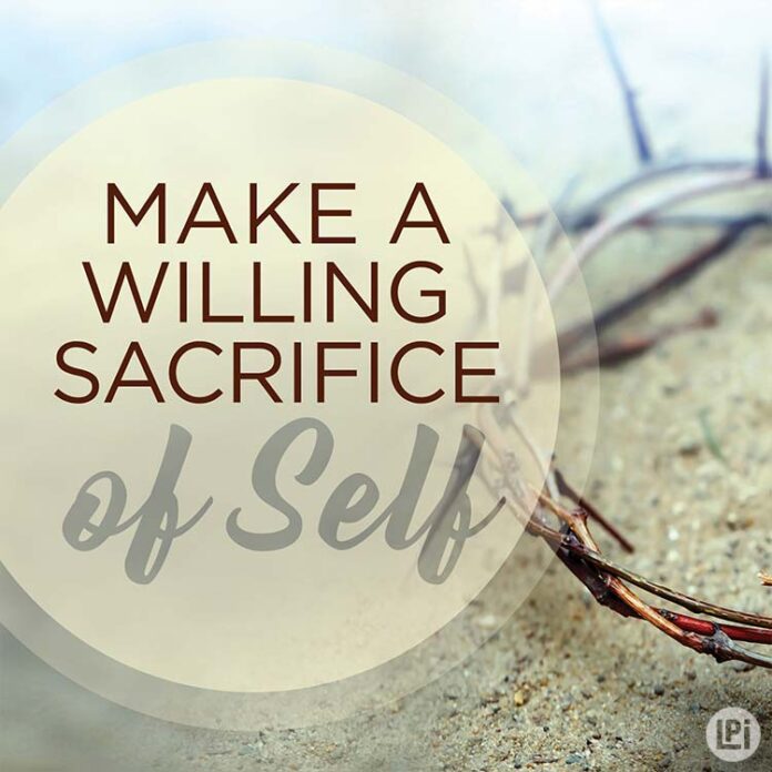 a-willing-sacrifice