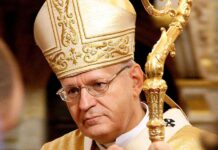 is-an-hungarian-cardinal-opposing-pope-francis-on-motu-proprio-limiting-traditional-latin-mass?