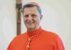 cardinal-grech:-synodality-is-not-a-‘fad’-of-the-pope