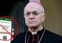 abp.-vigano-to-prelates:-clarify-vax-danger,-grave-moral-issues