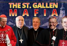 the-st.-gallen-mafia