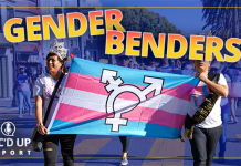 gender-benders