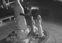video-shows-attack-on-blessed-mother-statue-outside-national-basilica