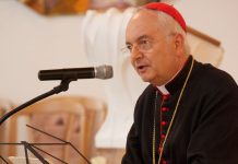 as-christmas-approaches,-priests-should-emphasize-that-confession-can-heal,-cardinal-says