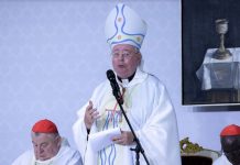 cardinal-in-key-synod-on-synodality-post:-‘reforms-need-a-stable-foundation’