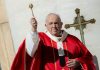 palm-sunday-2022:-full-text-of-pope-francis’-homily