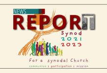 synod’s-troubling-conclusions?