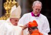 pope-francis-names-21-new-cardinals,-including-us-bishop-mcelroy