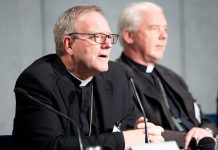 bishop-barron-expresses-‘great-gratitude’-for-his-appointment-to-winona-rochester