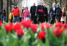 dutch-bishops-offer-cautious-response-to-vatican-blessing-guidance,-bucking-regional-trend - 