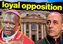 africa’s-rejection-of-gay-blessings-was-drafted-in-rome