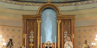 the-image-of-our-lady-of-lourdes-that’s-not-there-but-everyone-sees-it