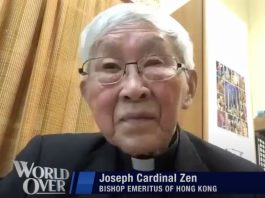 cardinal-zen-publishes-new-critique-of-synod-on-synodality