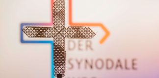 german-bishops-halt-move-toward-establishing-a-synodal-council-at-vatican’s-request