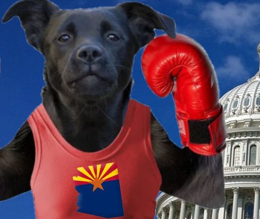 polls-predict-‘dogfight’-for-az-senate-seat