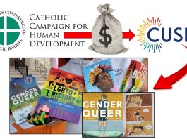 catholic-campaign-for-human-development-grantee-collects-pornographic-lgbtq-books-for-minors-at-youth-center