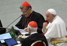 cardinal-grech’s-controversial-comments-add-to-list-of-concerns-on-postsynodal-study-groups