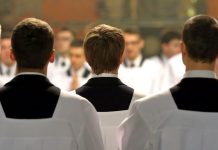 survey:-new-priests-are-young-and-involved-in-their-community 