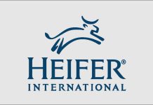 heifer-international